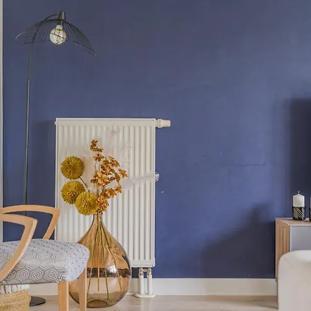 Le Nid Azur Apartment Illkirch-Graffenstaden